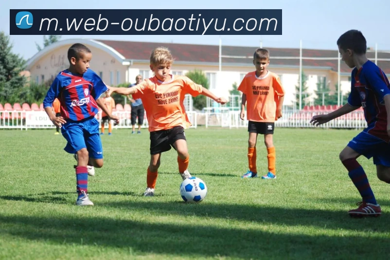 欧宝体育APP 体育赛事宣传图